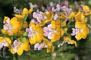 OK jigsaw puzzle