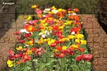 OK jigsaw puzzle