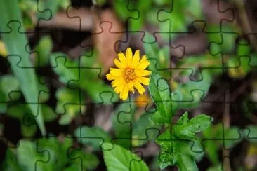 OK jigsaw puzzle