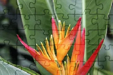 OK jigsaw puzzle