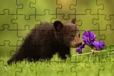 Animais jigsaw puzzle