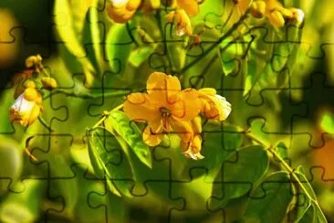 OK jigsaw puzzle