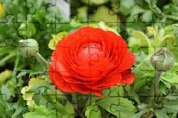 OK jigsaw puzzle