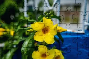 OK jigsaw puzzle