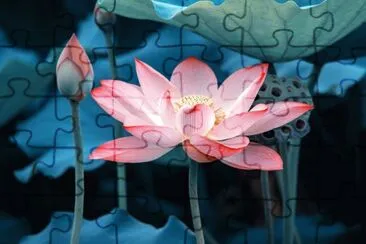 OK jigsaw puzzle