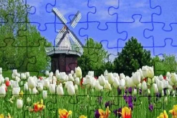 OK jigsaw puzzle