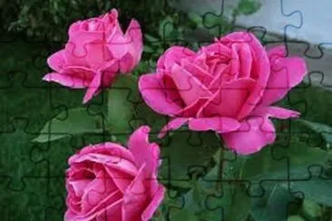 OK jigsaw puzzle