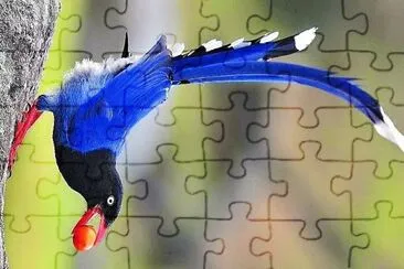 פאזל של natural