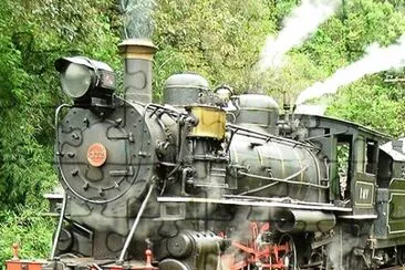 Maria FumaÃ§a