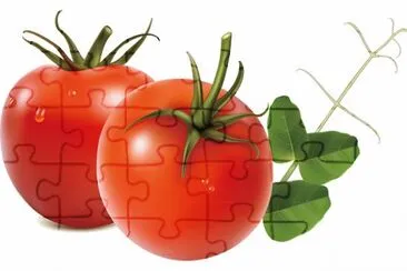 Sabores jigsaw puzzle