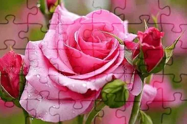 flores jigsaw puzzle