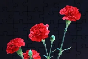 OK jigsaw puzzle