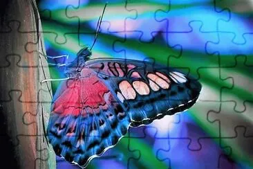 natural jigsaw puzzle