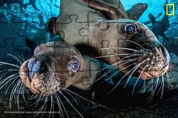 natural jigsaw puzzle