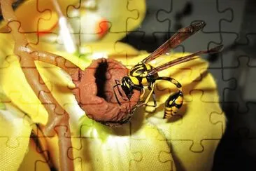natural jigsaw puzzle