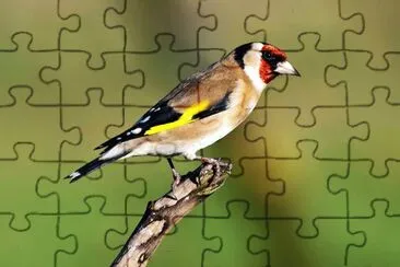 natural jigsaw puzzle