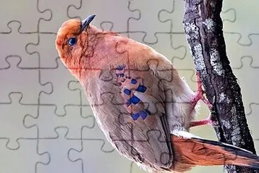 natural jigsaw puzzle