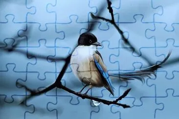 natural jigsaw puzzle