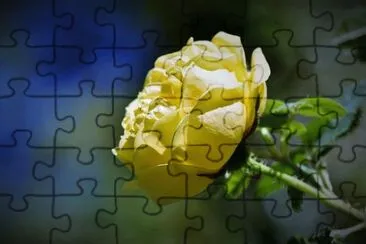 Foto jigsaw puzzle