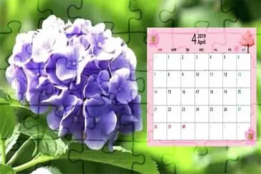 2019.04 jigsaw puzzle