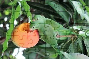 natural jigsaw puzzle