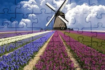 flores jigsaw puzzle