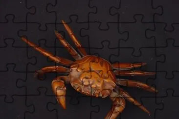 Heikegani jigsaw puzzle