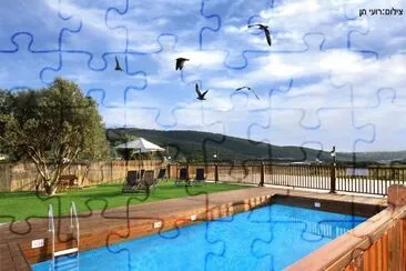 × ×•×£