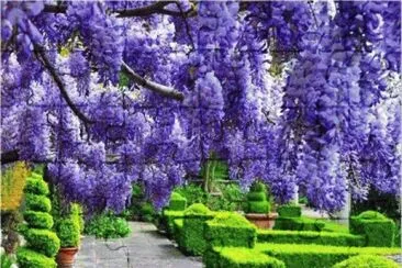 OK jigsaw puzzle