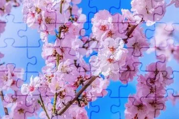 OK jigsaw puzzle