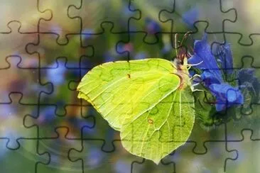 OK jigsaw puzzle