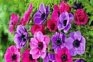 OK jigsaw puzzle