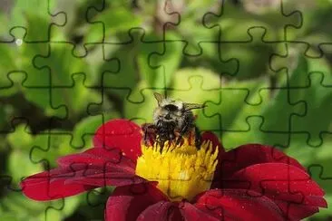 OK jigsaw puzzle
