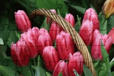 OK jigsaw puzzle