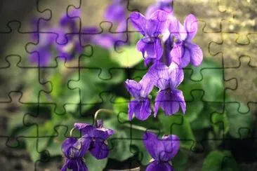 OK jigsaw puzzle