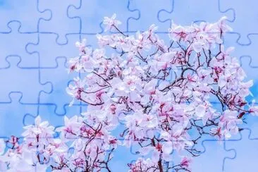 OK jigsaw puzzle