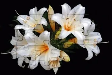 OK jigsaw puzzle