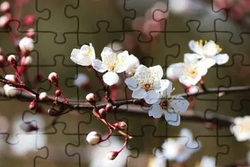 OK jigsaw puzzle