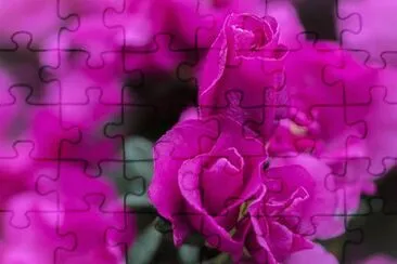OK jigsaw puzzle