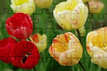 OK jigsaw puzzle