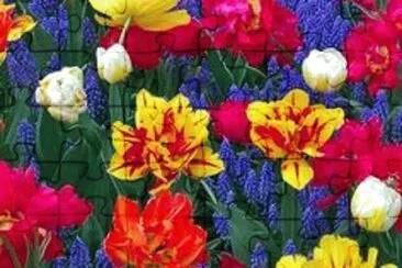 OK jigsaw puzzle