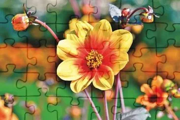 OK jigsaw puzzle