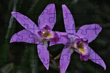 OK jigsaw puzzle