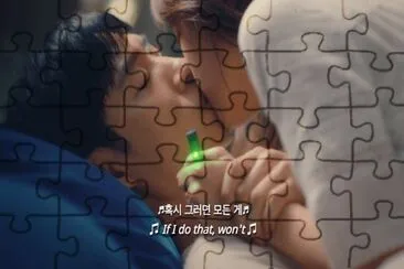 where stars land jigsaw puzzle