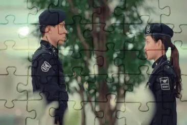where stars land jigsaw puzzle
