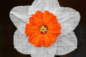 OK jigsaw puzzle