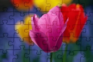 OK jigsaw puzzle