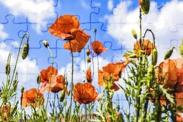 OK jigsaw puzzle