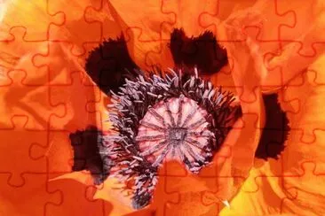 OK jigsaw puzzle