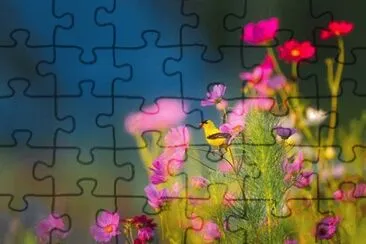 OK jigsaw puzzle